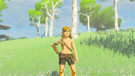 BotW Nude Link 2.0